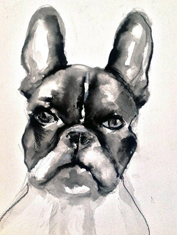 Reggie - SOLD!!🔴